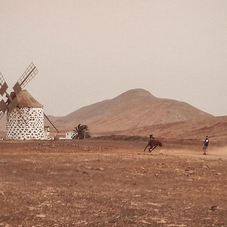 Casa Cocolores Villaverde  المظهر الخارجي الصورة