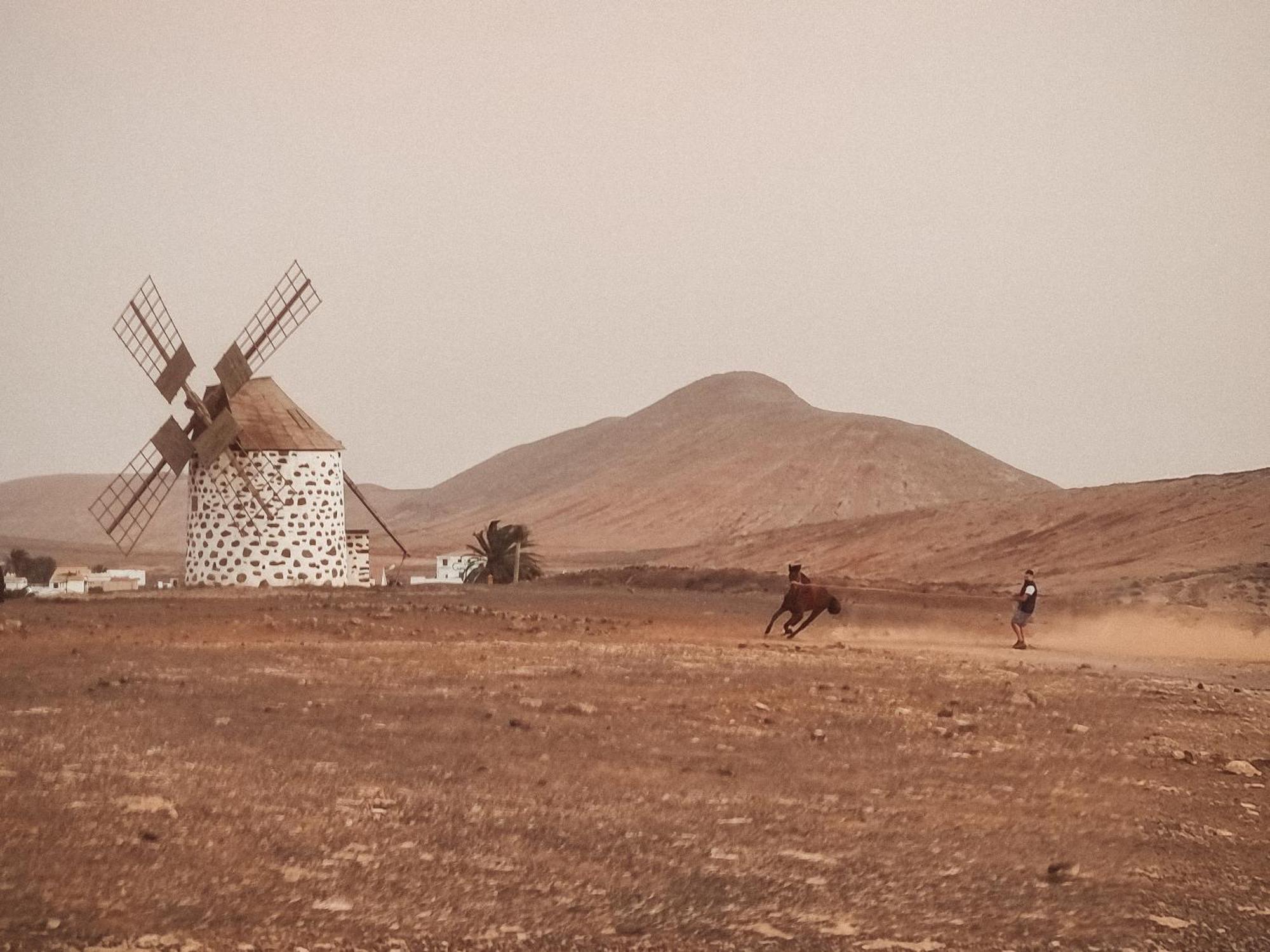 Casa Cocolores Villaverde  المظهر الخارجي الصورة
